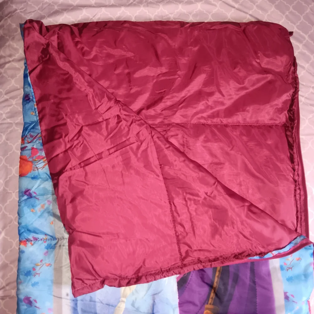 Disney Frozen II Children's Elsa & Ana Design Sleeping Bag in Storage Bag